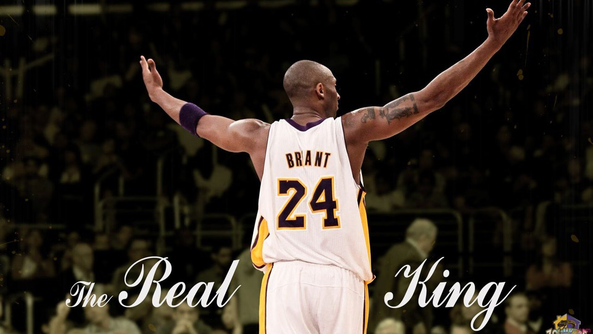 阿坎吉生涯之夜闪耀,丹麦力克突尼斯展现团队力量